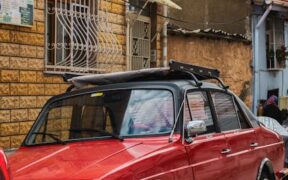 Supplements for dogs with occasional gas