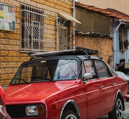 Supplements for dogs with occasional gas