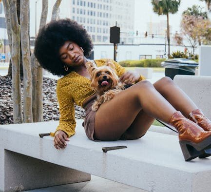 Interrupted urine flow pets