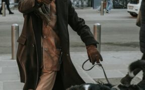 Sudden bloating in dogs abdominal distension and red flags