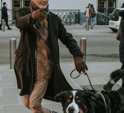 Dog coughing reasons types and red flags