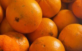 Supporting Healthy Coat Shine