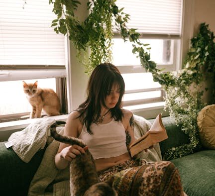 Cats that may need lifestyle dependent vaccinations