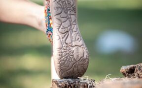 Cats reacting when pressured to move