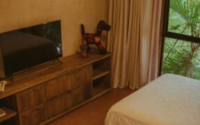 Hotel stay anxiety in dogs