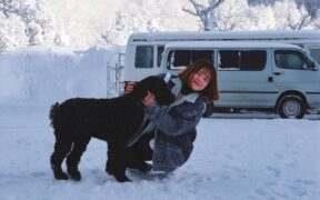 Supplements for pets during very cold days