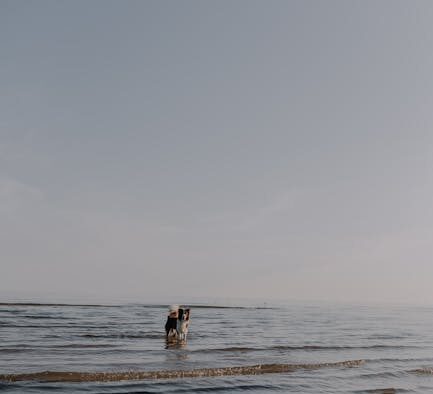 Pets struggling to breathe