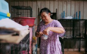 Pet Dental Care in Rescue Animals