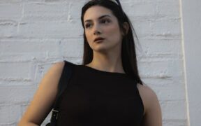 Dog brown debris on skin symptoms and what to watch for