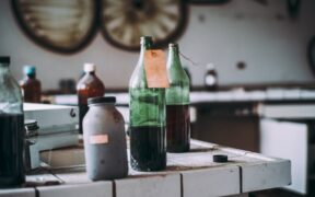 Toxic leftovers for cats