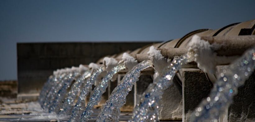 Clear nasal discharge cat