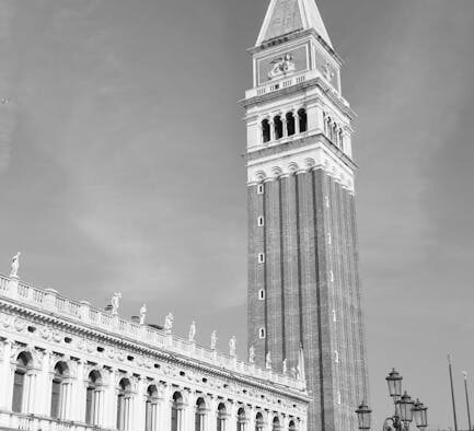 Burping in cats occasional belching what it may mean