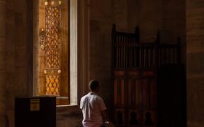 Urine stains on carpet