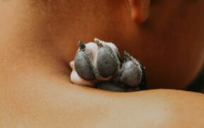 Dog skin lesions on back symptoms and possible causes