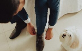 Pet Grooming Readiness Cues