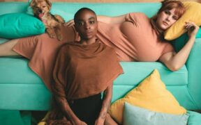 Dog irritated nipples skin symptoms and concerns