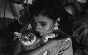 Simple grooming tips for multi pet homes