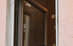 Safe home environment checklist for dog owners