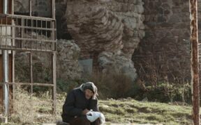 Feeding guide for dogs with digestive issues