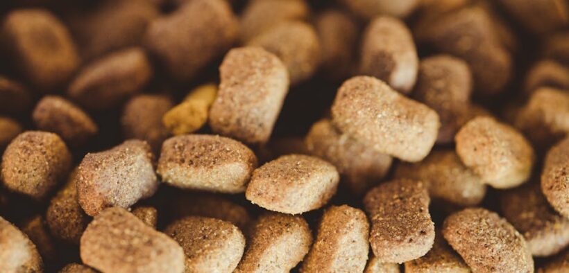 Low fat feeding guide for dogs