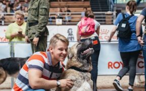 Dogs Showing Discomfort at Crowded Places