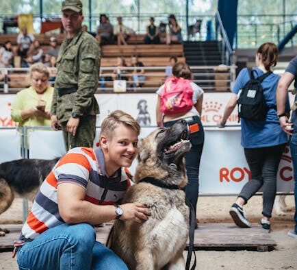 Dogs Showing Discomfort at Crowded Places
