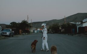 Urinating in unusual places pets