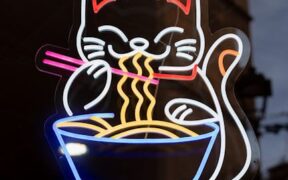 Cat ignoring favourite snacks digestion related sign