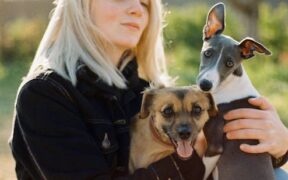 How lifestyle affects vaccination needs in dogs