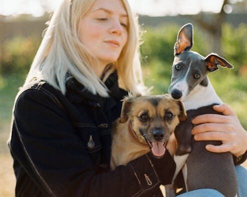 How lifestyle affects vaccination needs in dogs