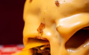 Grilled fatty meats toxicity pets