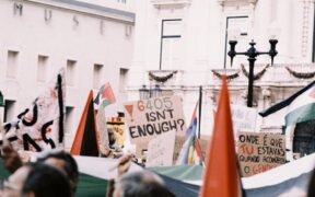 Blood in cat urine signs causes and red flags