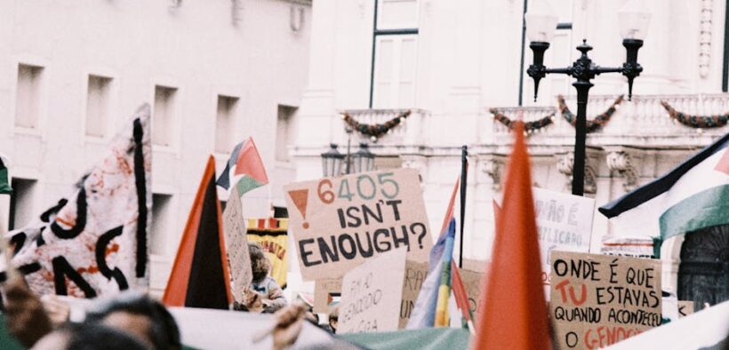 Blood in cat urine signs causes and red flags