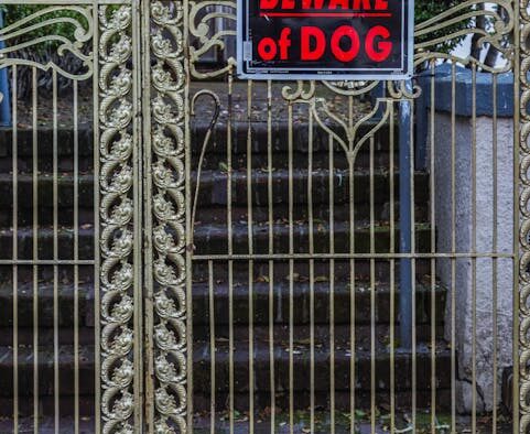 How to recognize ticks in wooded areas and dogs and early warning signs at home