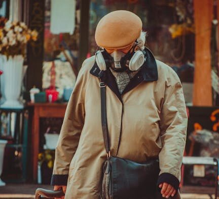 Fall prevention strategies for senior cats