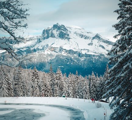 Supplements for dogs living in cold climates