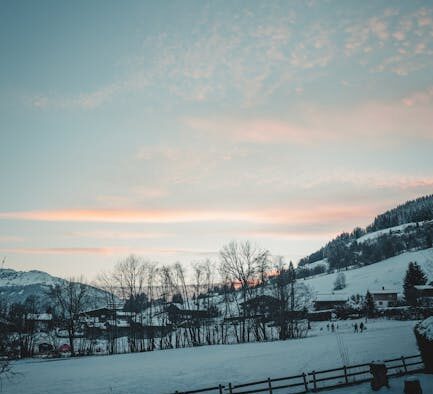 Basic training for dogs in quiet rural areas