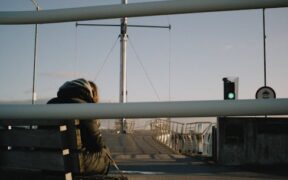 Pet unable to pass urine