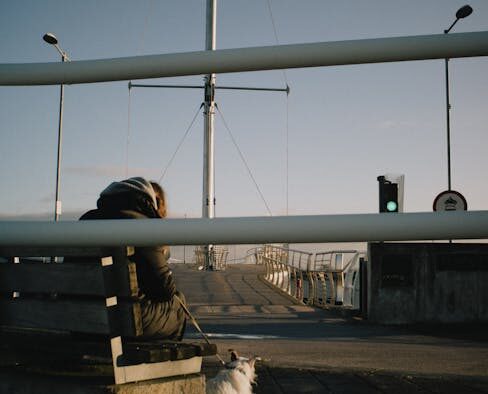 Pet unable to pass urine