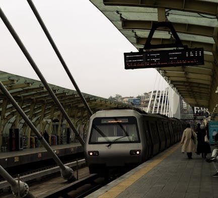 Cats showing agitation during busy schedules