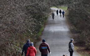 Trail mix toxicity dogs