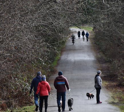 Trail mix toxicity dogs