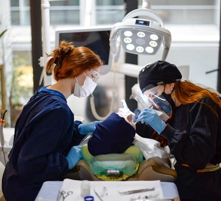 Building Oral Care Habits for Dogs