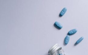 Supplements for dog anxiety