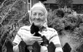 How vaccination records affect cat adoption requirements