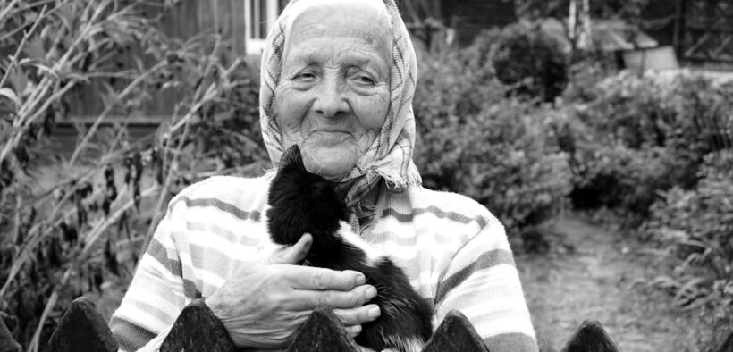 How vaccination records affect cat adoption requirements