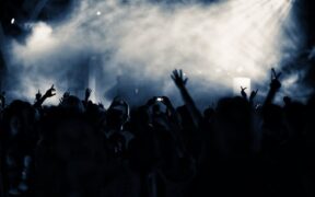 Energy drinks toxic to cats