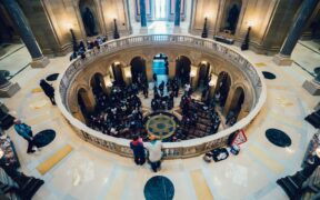 Cats guarding space from visitors