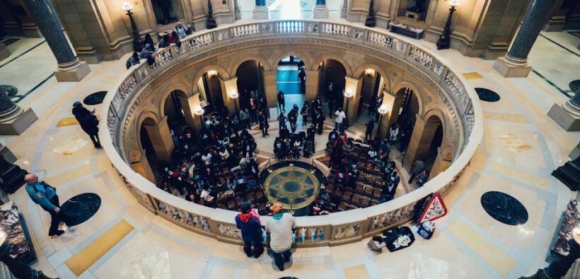 Cats guarding space from visitors