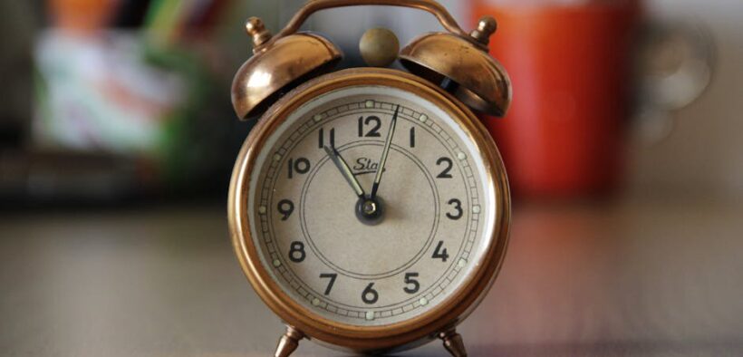 Cat round hairless patches early signs and what to watch for